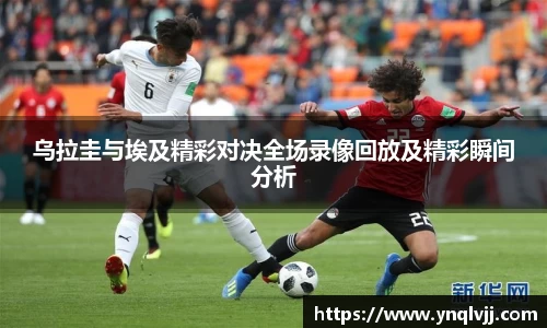 乌拉圭与埃及精彩对决全场录像回放及精彩瞬间分析